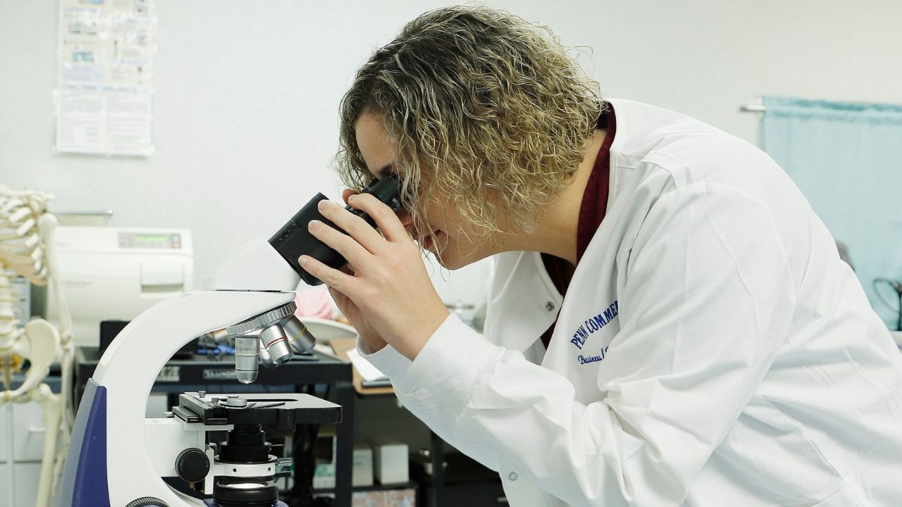 Penn Commercial phlebotomy student analyzes blood through a microscope